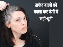 सफेद बालों को काला करने ही नहीं Hair Fall को कम करने में भी मददगार है ये जड़ी-बूटी, जानें कैसे करें इस्तेमाल सफेद बालों को काला करने ही नहीं Hair Fall को कम करने में भी मददगार है ये जड़ी-बूटी, जानें कैसे करें इस्तेमाल