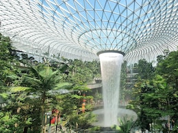 Indian Man Arrested For Stealing Bags And Makeup Worth Rs 3.5 Lakh From Singapore Airport Indian Man Arrested For Stealing Bags And Makeup Worth Rs 3.5 Lakh From Singapore Airport