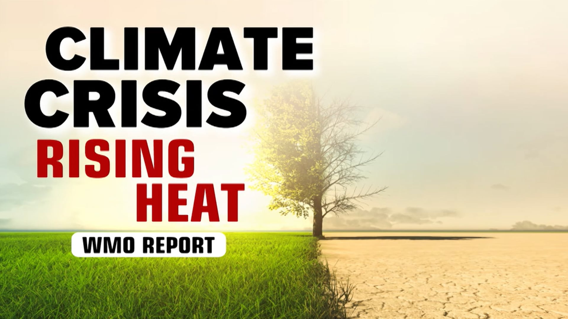 One in Next Five Years May Be Hottest Ever: Report