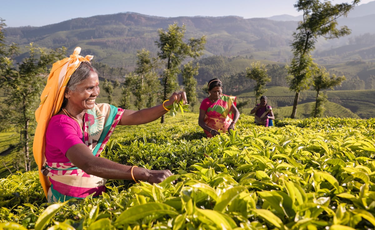 Photo: iStock Photo: iStock