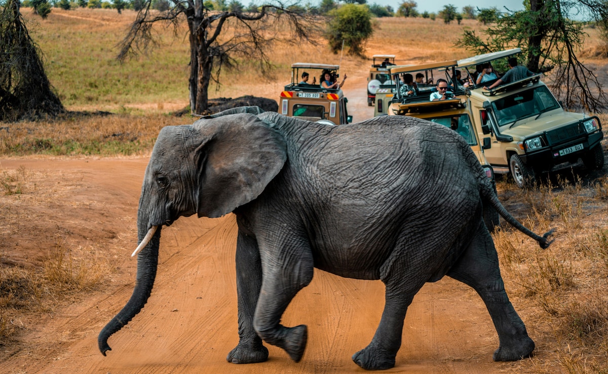 Indian travellers are planning vacations around preferred activities. Indian travellers are planning vacations around preferred activities.