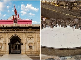 PM Modi Rajasthan Visit: करणी माता मंदिर में भक्तों को दिया जाता है चूहों का जूठा प्रसाद, पीएम मोदी ने किए दर्शन