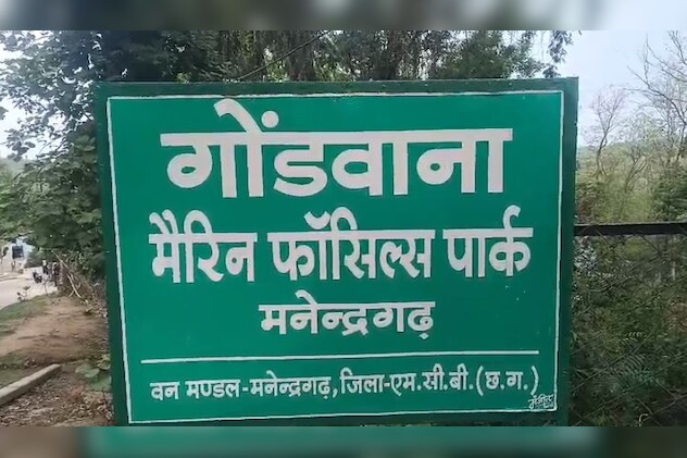 Add image caption here