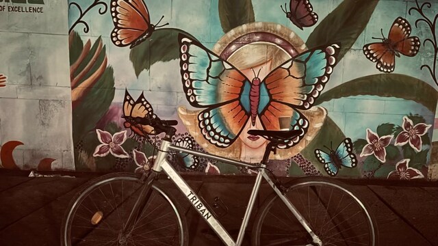 Health Benefits Of Cycling Everyday