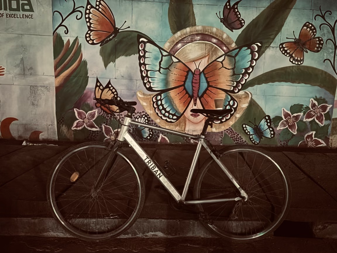 Health Benefits Of Cycling Everyday