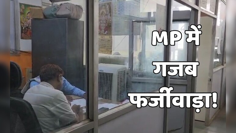शिक्षा विभाग में गजब फर्जीवाड़ा! न महिला ने नौकरी की, न युवक था बेटा... फिर भी मिल गई अनुकंपा नियुक्ति
