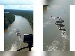 अमेजन के जंगलों के बीच पानी में मंडराता दिखा इतना बड़ा एनाकोंडा, वायरल वीडियो देख छूट जाएंगे पसीने अमेजन के जंगलों के बीच पानी में मंडराता दिखा इतना बड़ा एनाकोंडा, वायरल वीडियो देख छूट जाएंगे पसीने