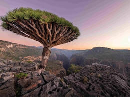 7 Of The World's Most Remote Islands You Can Actually Visit