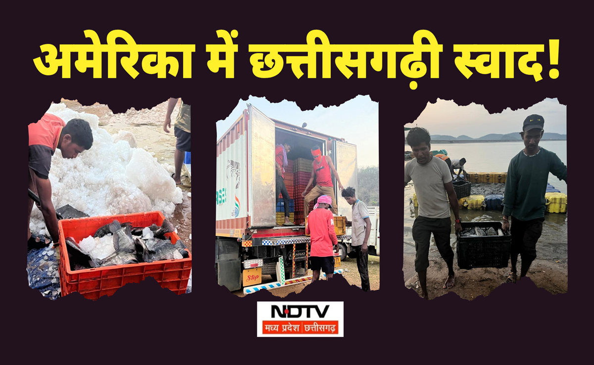 Fish Farming: नक्सलगढ़ कांकेर की मछलियां बढ़ा रही हैं अमेरिकियों का ज़ायका, इस डैम से हो रही है सप्लाई