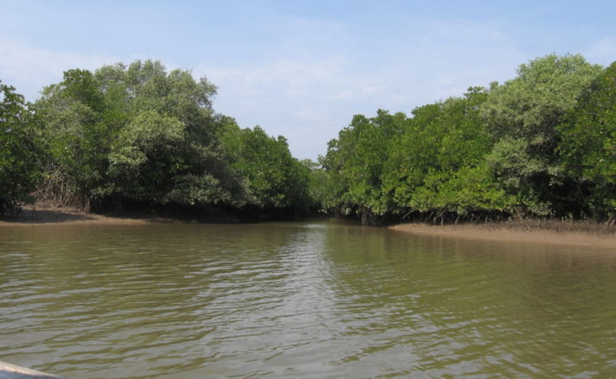 Godavari-Krishna Mangroves: Godavari-Krishna Mangroves: