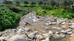 80% Of Plastic Waste In Himalayas From Single-Use Food Packaging: Report