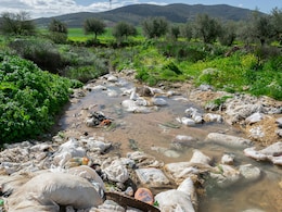 80% Of Plastic Waste In Himalayas From Single-Use Food Packaging: Report
