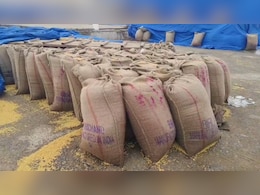 Krishi Mandi :  मंडी में रखा गेहूं और धान चढ़ा तेज बारिश की भेंट, प्रशासन की कार्यशैली पर उठे सवाल