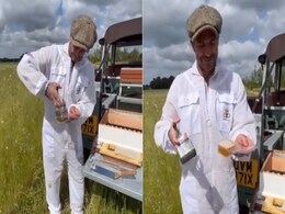 Watch: David Beckham Enters Full Beekeeper Mode And We Are Here For It Watch: David Beckham Enters Full Beekeeper Mode And We Are Here For It