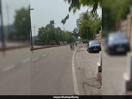 Viral Video: Children Brave Noida's Heat To Rescue Injured Dog, Melt Hearts Online Viral Video: Children Brave Noida's Heat To Rescue Injured Dog, Melt Hearts Online