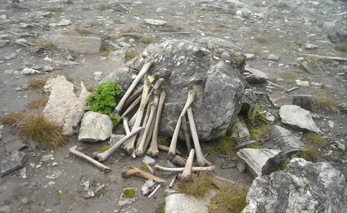 Latest and Breaking News on NDTV