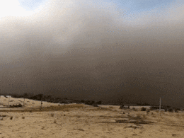 Rajasthan Weather Update: अगले चार दिन चलेगी धूल भरी हवाएं, औसत तापमान पहुंचा 44 डिग्री के पार