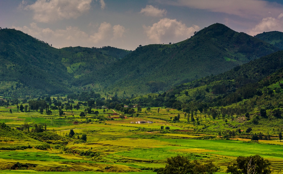 Photo: iStock Photo: iStock