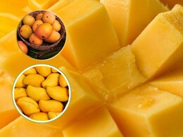 Mango Benefits: गर्मियों में अमृत समान है आम, मन प्रसन्न और तंदुरुस्त रहता है शरीर, जानिए इसके फायदे Mango Benefits: गर्मियों में अमृत समान है आम, मन प्रसन्न और तंदुरुस्त रहता है शरीर, जानिए इसके फायदे