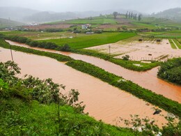 Marathwada Rain: मराठवाड्यातील 34 मंडळात अतिवृष्टीची नोंद; 25 वर्षांचा विक्रम मोडला