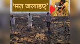 पराली जलाने के मामले में MP देश में पहले स्थान पर, तो श्योपुर प्रदेश में No 1; सरकार हुई सख्त