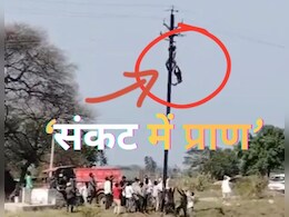 पोल में लटकी जान... नीचे गिरा कर्मचारी तो मचा हाहाकार; जान से ऐसा खिलवाड़ कब तक?