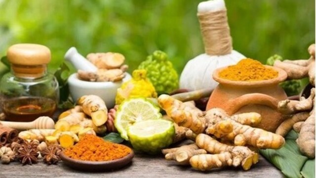 Ayush Expo To Showcase India’s Traditional Medicine Systems At WHO Global Summit