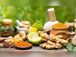 Ayurveda Day: अब हर वर्ष 23 सितंबर को मनाया जाएगा आयुर्वेद दिवस