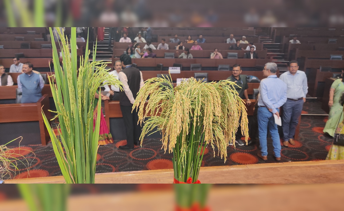 Latest and Breaking News on NDTV Latest and Breaking News on NDTV