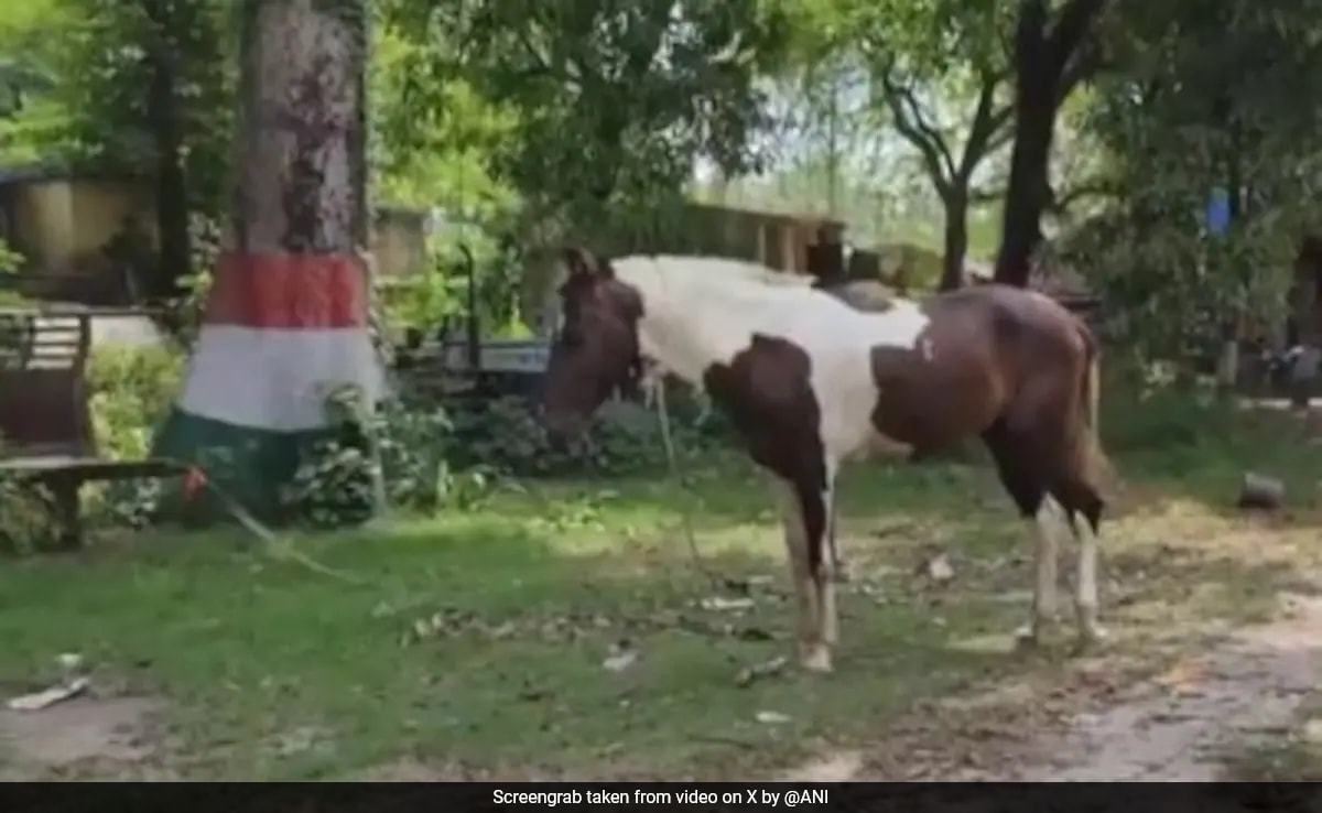 Патна В района на Западен Шампаран в Бихар полицията е