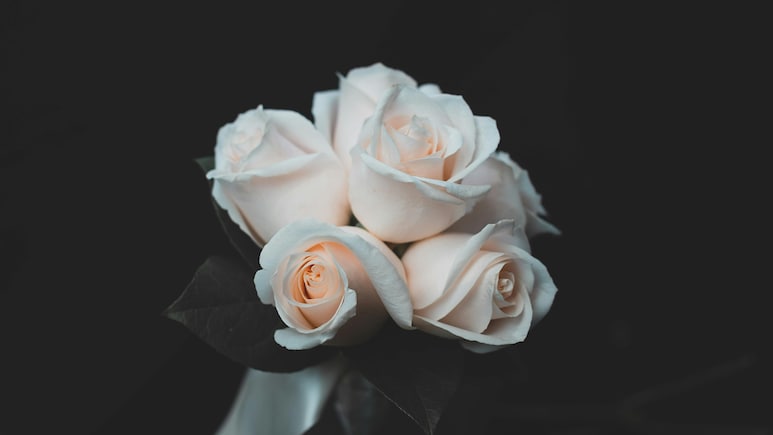 इस Mother's Day फूलों से जताएं प्यार! इन शानदार Flowers Bouquet की डील्स के साथ अपनी Mom को दें Surprise इस Mother's Day फूलों से जताएं प्यार! इन शानदार Flowers Bouquet की डील्स के साथ अपनी Mom को दें Surprise