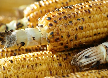 5 Easy Tips To Roast Bhutta (Corn On The Cob) Without Burning It 5 Easy Tips To Roast Bhutta (Corn On The Cob) Without Burning It