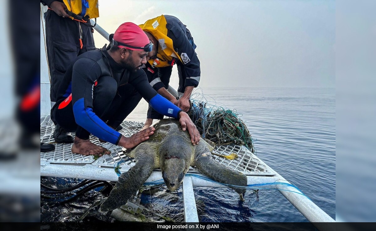 Ню Делхи В основен тласък на опазването на морските пехоти