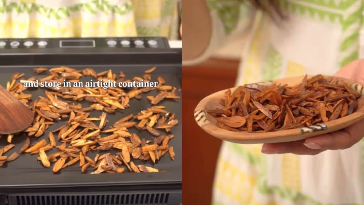 How To Make Mango Seed Mukhwas: A Traditional Post-Meal Treat With Digestive Benefits How To Make Mango Seed Mukhwas: A Traditional Post-Meal Treat With Digestive Benefits