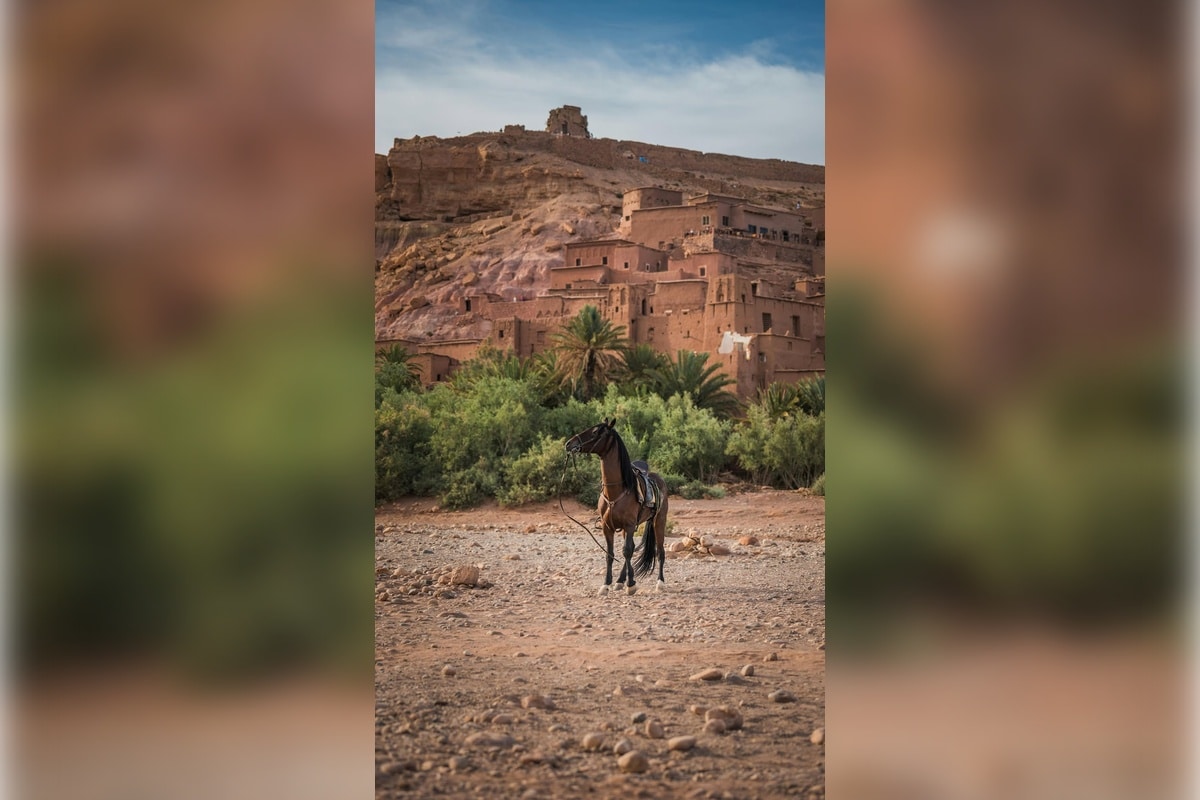 Explore Ait Benhaddou: Where Game of Thrones Magic Happened