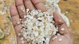 Nurdles, The 5mm-Sized Plastic Pellet Destroying The World, And Killing Us