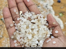 Nurdles, The 5mm-Sized Plastic Pellet Destroying The World, And Killing Us