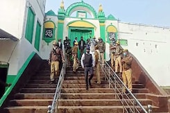 Survey To Continue At Sambhal Mosque, High Court Rejects Muslim Side's Plea Survey To Continue At Sambhal Mosque, High Court Rejects Muslim Side's Plea