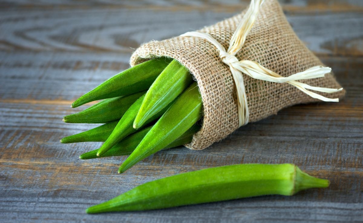 бамя известна още като дамски пръст е ярко зелен зеленчук