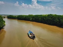 6 Places In India To Discover The Mystique Of Mangrove Forests 6 Places In India To Discover The Mystique Of Mangrove Forests