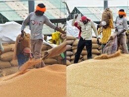 Yellow Gold : गेहूं पर मंडरा रहा बड़ा खतरा! मध्य प्रदेश में मौसम की मार से बढ़ी अन्नदाताओं की चिंता Yellow Gold : गेहूं पर मंडरा रहा बड़ा खतरा! मध्य प्रदेश में मौसम की मार से बढ़ी अन्नदाताओं की चिंता