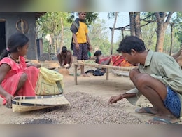 चिरौंजी से लाखों की कमाई... मार्केट में भयंकर डिमांड, मालामाल हो रहे हैं यहां के किसान चिरौंजी से लाखों की कमाई... मार्केट में भयंकर डिमांड, मालामाल हो रहे हैं यहां के किसान