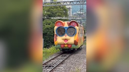 Watch: Vlogger Shares Video Of &ldquo;Cat Cable Car&rdquo; In Japan, Internet Is Impressed