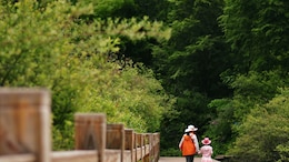 Mother's Day 2025: 7 Travel Experiences To Share With Your Mom In India