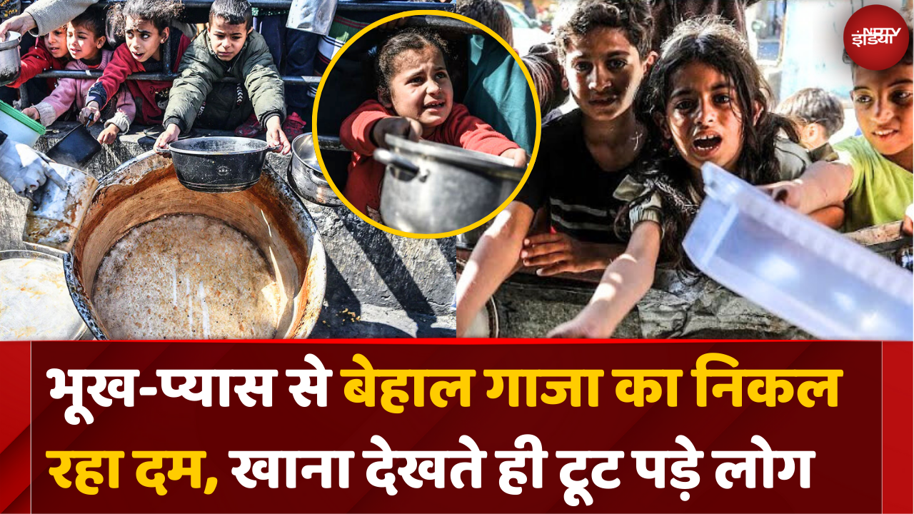 गाजा में भुखमरी का इतना बुरा हाल, खाना देखते ही टूट पड़े लोग
