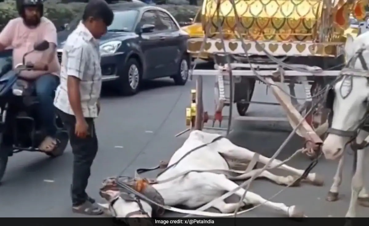 Quick Take Резюме е генериран от AI прегледано Newsroom Видеоклип