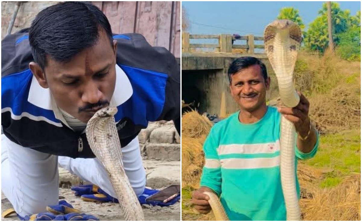 बिहार में 'सांपों के मसीहा' को सांप ने ही डस लिया, कैसे हो गई दर्दनाक मौत, पढ़िए हुआ क्या