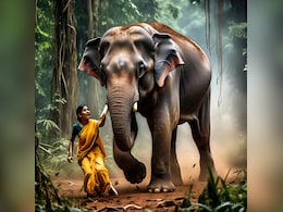 Elephant Attacks : चैन की नींद सो रही महिलाओं के लिए काल बनकर आया हाथी, हमले में दोनों की हुई मौत Elephant Attacks : चैन की नींद सो रही महिलाओं के लिए काल बनकर आया हाथी, हमले में दोनों की हुई मौत