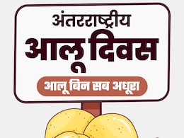 आलू को यूं ही नहीं कहा जाता सब्जियों का राजा, जानें रोचक इतिहास, किस्में और रेसिपीज आलू को यूं ही नहीं कहा जाता सब्जियों का राजा, जानें रोचक इतिहास, किस्में और रेसिपीज