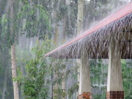 Weather Forecast: मुंबई, ठाण्यासह 'या 'जिल्ह्यांत पावसाची शक्यता, काय आहे हवामान विभागाचा अंदाज?